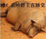 恶搞沙福林表情包1