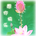 败家娘们表情包8