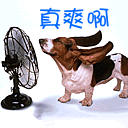 暴笑图片可爱表情包9