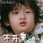 最流行表情包10