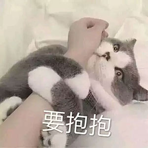 爱情公寓5表情包请做5