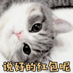 猫和老鼠表情包搞笑gif1