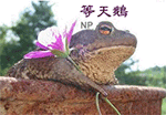 动漫表情包app下载4