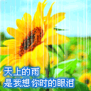 猫表情手绘图片大全可爱3