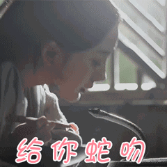 表情包大全可爱简笔画 鸡鸭6
