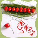 qq菜狗表情开机动画11
