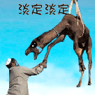 最安静的图片7