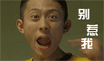追求爱情的书的表情包8
