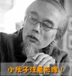 群里朋友们大家晚上好表情包7