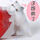 年度怼人沙雕表情包6