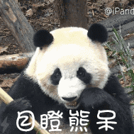 祝福安康表情包1