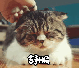 微信表情萌萌小帅哥12