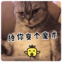袁泉的表情太恐怖3