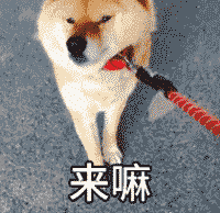 钢铁侠qq表情5