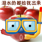搞怪动物动态表情包7