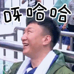 精选15组资格的动画表情8