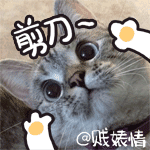 用表情动作语言写心情13