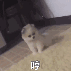 关于动态的表情图3