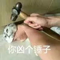 12组生活的恶搞表情1