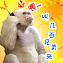 2022含有虫子的文字表情13