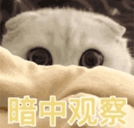 动漫小女孩崩表情包7