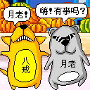 消失的表情包4