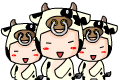 2023猪年祝福语表情图片6