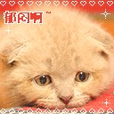 欢迎加入群聊动画表情10