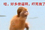 微信船的表情10