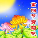 谢腾飞表情包gif1