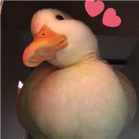 姐妹的头像有哪8