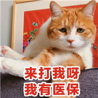 兄弟头像qq一人一个7