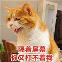 那些非常恐怖头像9