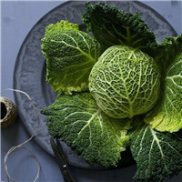 日子头照10