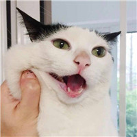 情侣头像二人专用真人搞笑9
