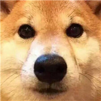 许君聪兄弟头像2