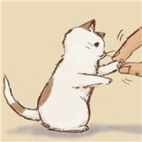 qq赵丽颖美丽头像8