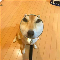 情侣头像配对恩爱唯美11