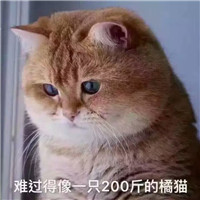 闺蜜头像两人圆月亮背影4