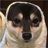 男二次元头像伤感1