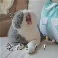 哪些微信号有头像7