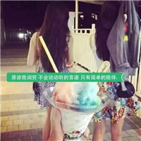 狮子头像是什么牌子的车子13