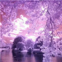 霸气酷酷的句子6