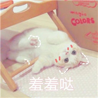 星空头像背影伤感1