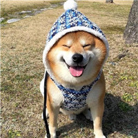 头上戴着袋子的卡通头像6