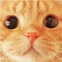 重口味的情侣头像欧美5