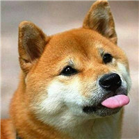 王者荣耀污头像玩家8