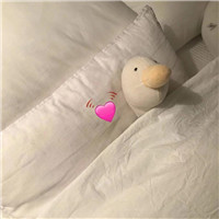 沙雕头像不是人10