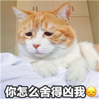 头像呢女可爱10