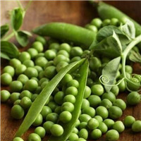 春天气息的闺蜜头像7